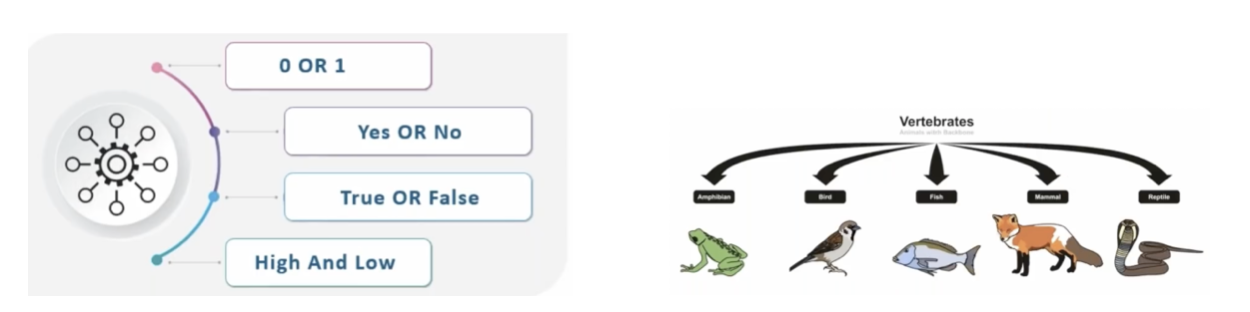 Machine Learning: Theory of learning models and practice in python ...