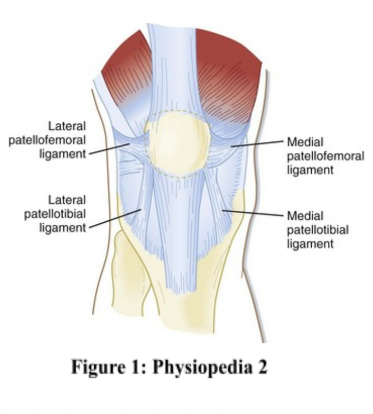 A Review on Patellofemoral Pain Syndrome (PFPS) - Exploratio Journal