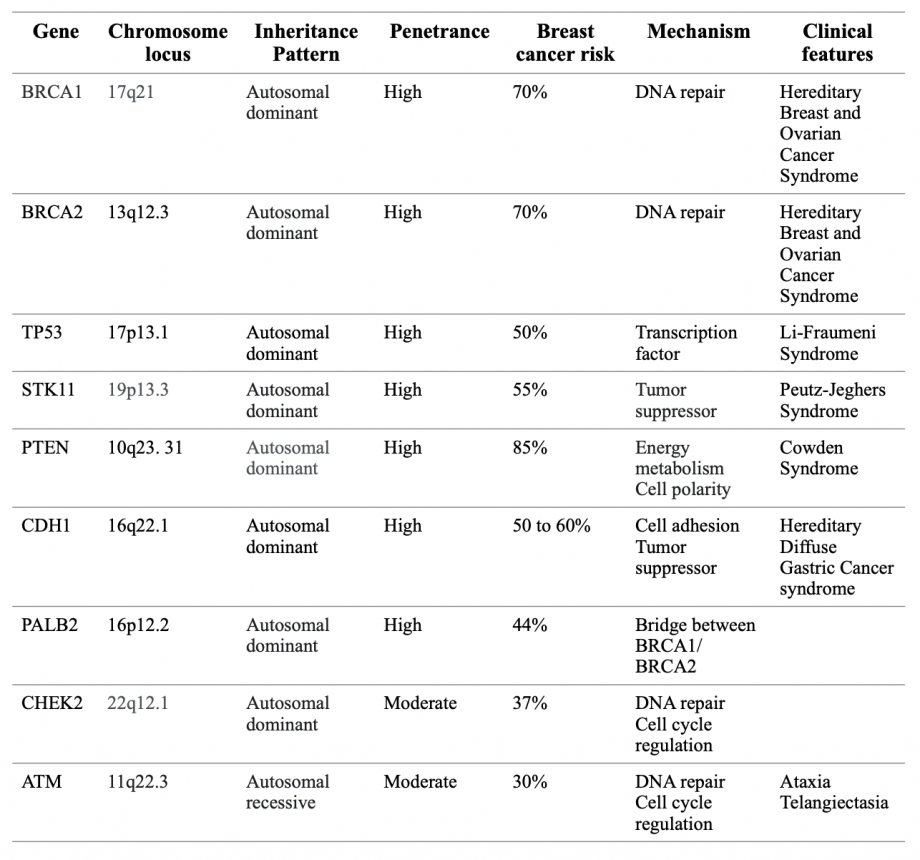 A Review On Hereditary Breast Cancer Exploratio Journal 9762