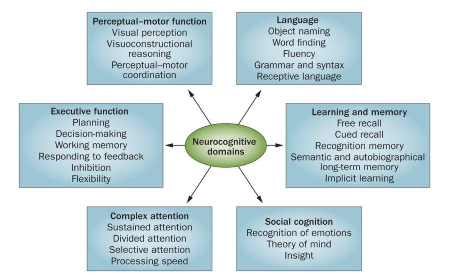 Computer Based Interventions Developing Computer-based Cognitive Interventions for Aging Populations ...
