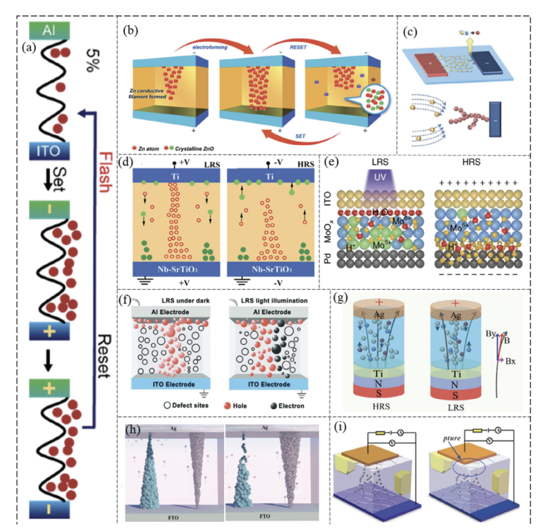Bridging Biology and Machines: A Review of Bionic Systems, Sensors, and ...
