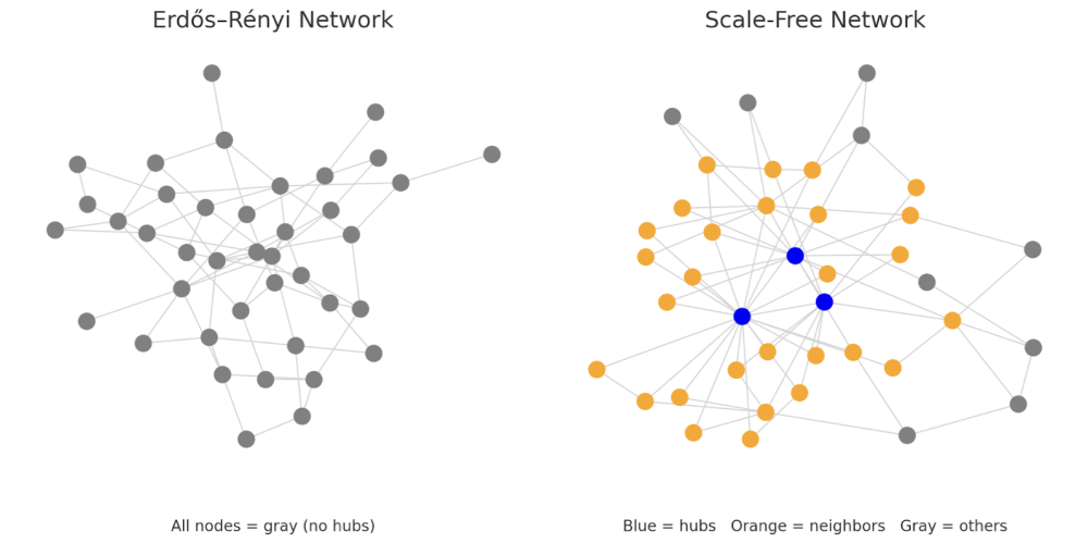 The Evolution of Network Robustness: Structural, Load-Based, and ...